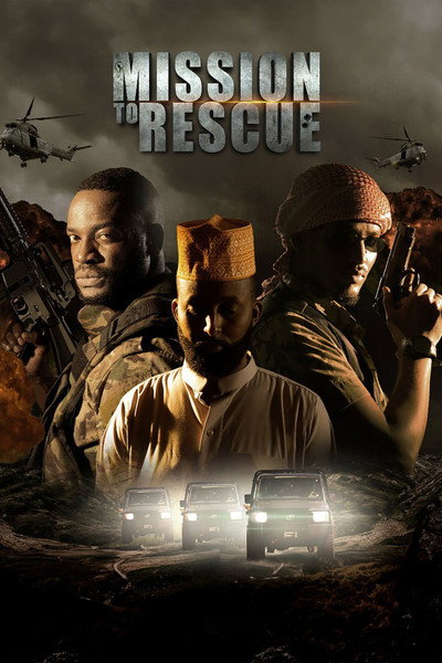 Póster de Mission to Rescue