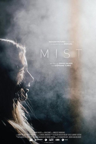 Póster de Mist