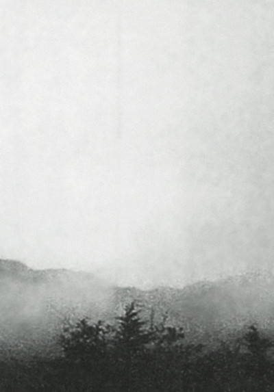 Póster de Mist