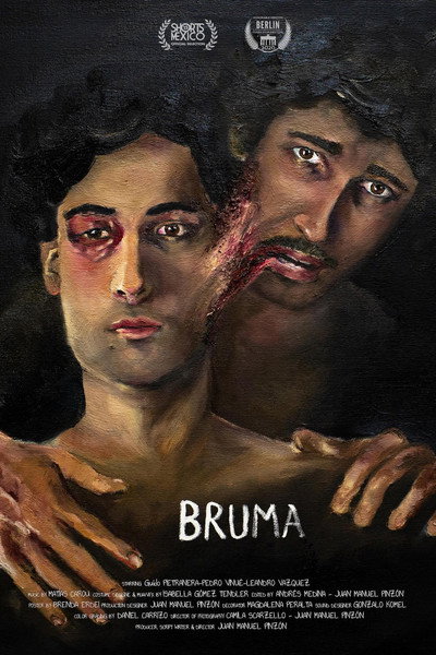 Póster de Mist