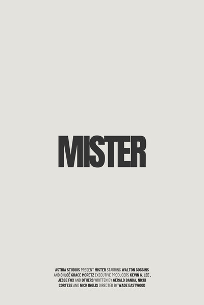 Póster de Mister