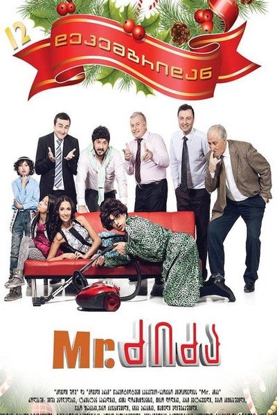 Póster de Mister Dzidza