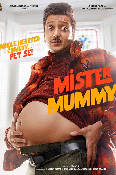 Póster de Mister Mummy