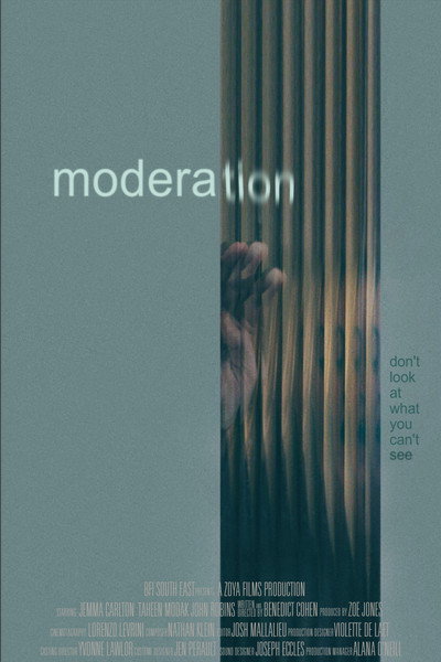 Póster de Moderation