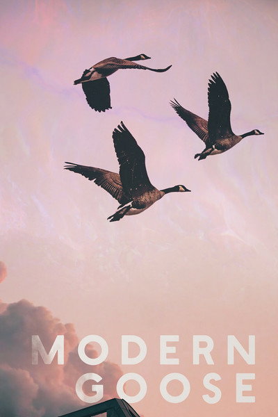 Póster de Modern Goose