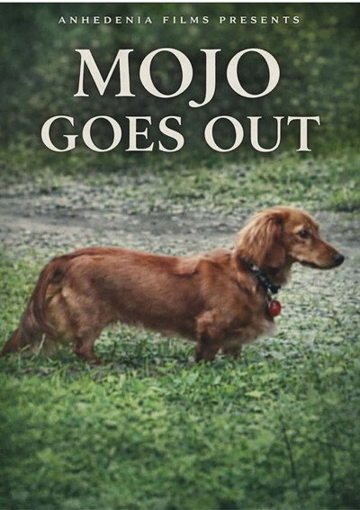 Póster de Mojo Goes Out