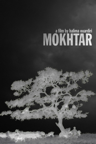 Póster de Mokhtar