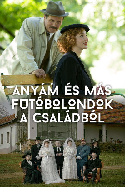 Póster de Mom and Other Loonies in the Family
