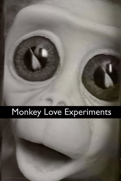Póster de Monkey Love Experiments