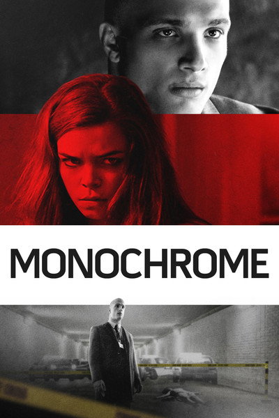 Póster de Monochrome
