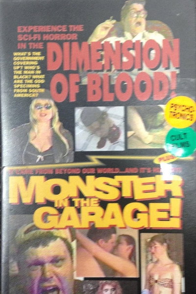 Póster de Monster in the Garage