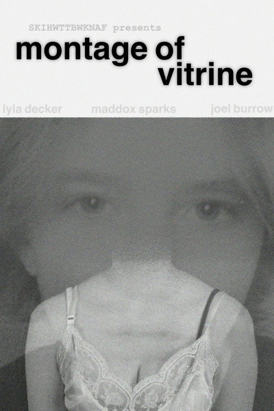 Póster de Montage of Vitrine