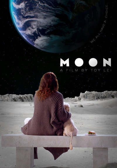 Póster de Moon