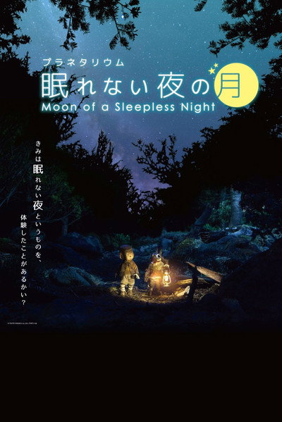 Póster de Moon of a Sleepless Night