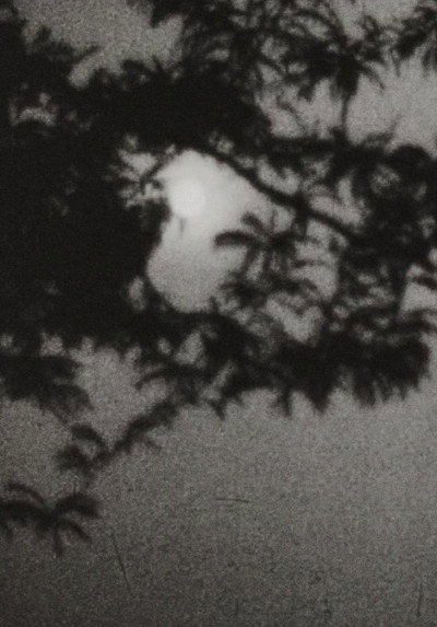 Póster de Moonplay