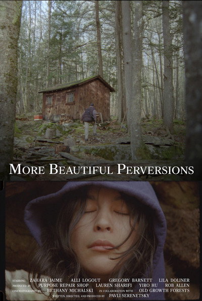 Póster de More Beautiful Perversions