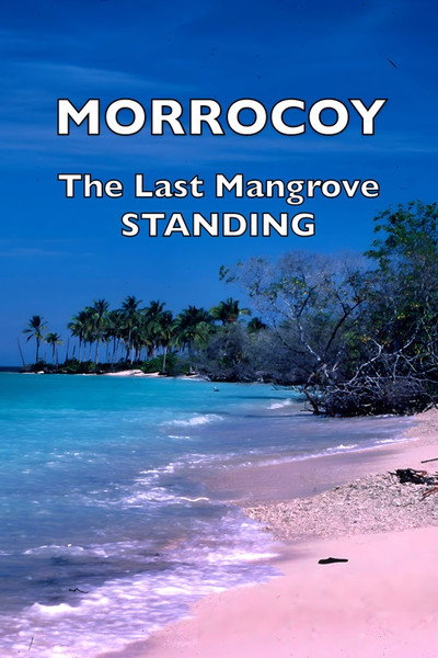 Póster de Morrocoy: The Last Mangrove Standing