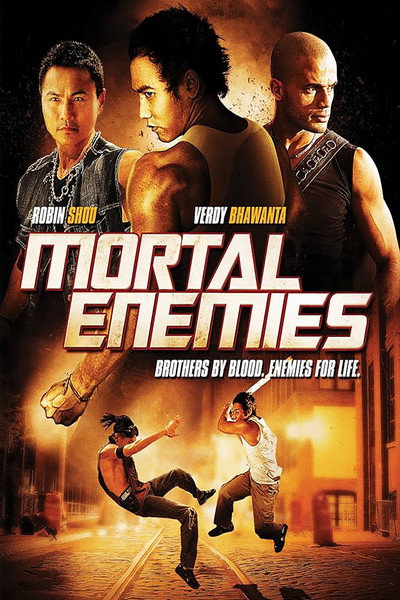 Póster de Mortal Enemies
