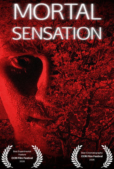 Póster de Mortal Sensation