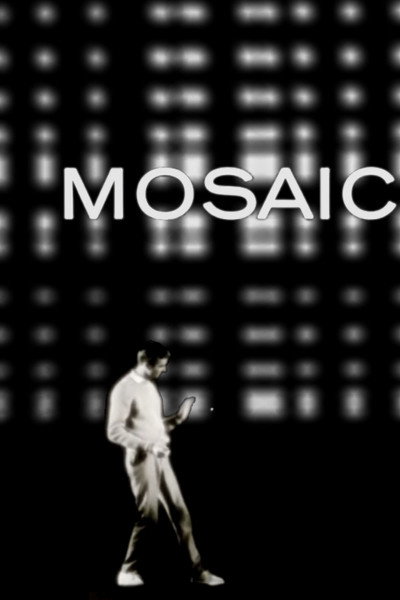 Póster de Mosaic