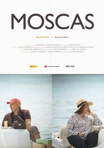 Póster de Moscas