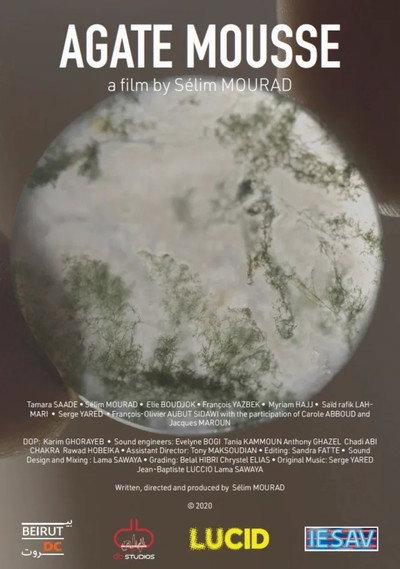 Póster de Moss Agate