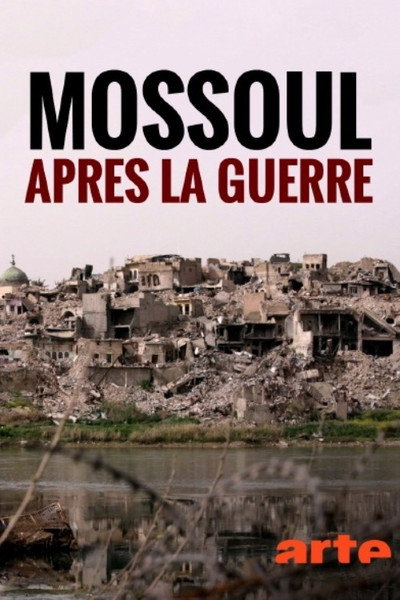 Póster de Mosul After the War