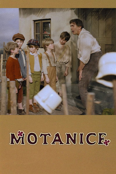 Póster de Motanice