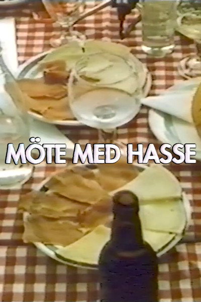 Póster de Möte med Hasse
