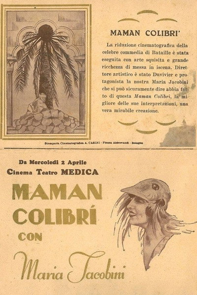 Póster de Mother Hummingbird
