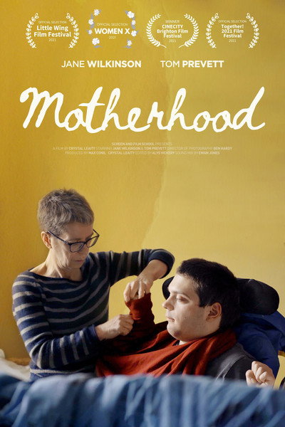 Póster de Motherhood