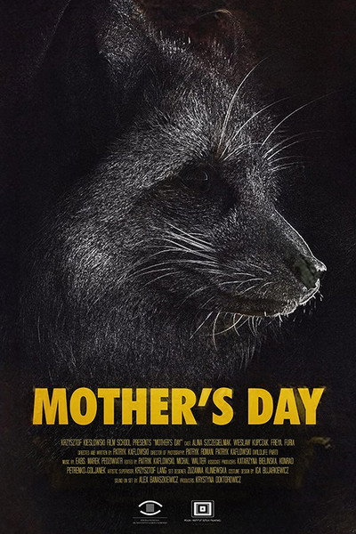 Póster de Mother's Day