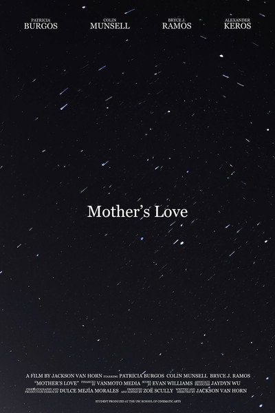 Póster de Mother's Love