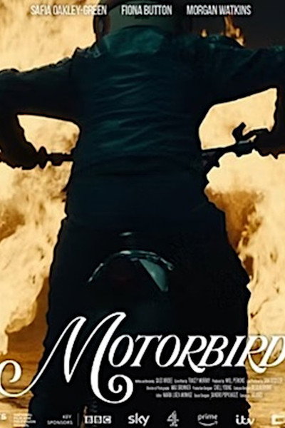 Póster de Motorbird