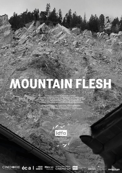 Póster de Mountain Flesh