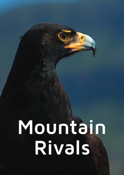 Póster de Mountain Rivals