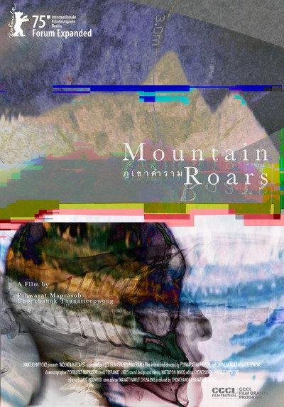 Póster de Mountain Roars