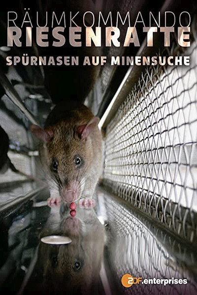 Póster de Mozambique's Minesweeper Rats
