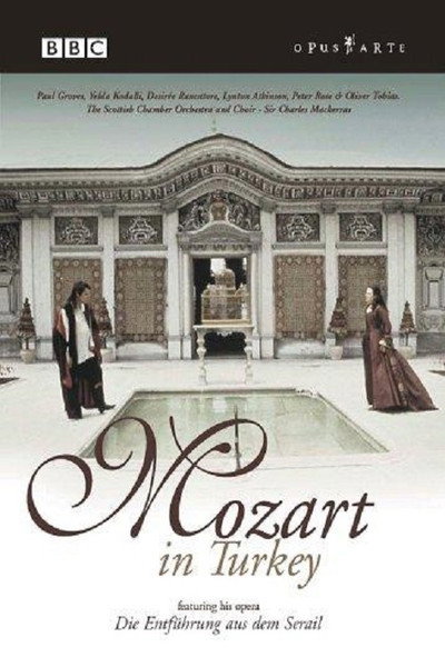 Póster de Mozart in Turkey