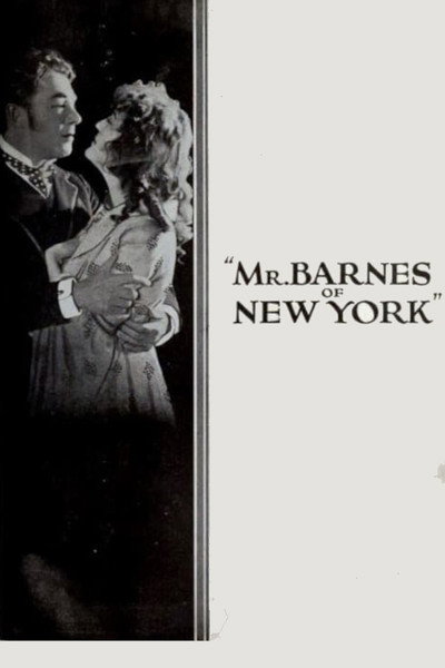 Póster de Mr. Barnes of New York
