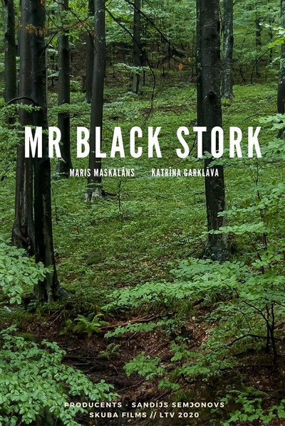 Póster de Mr. Black Stork