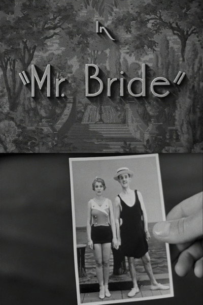 Póster de Mr. Bride
