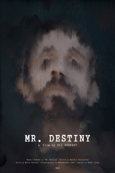 Póster de Mr. Destiny