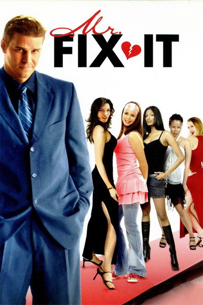 Póster de Mr. Fix It