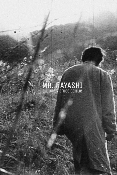 Póster de Mr. Hayashi