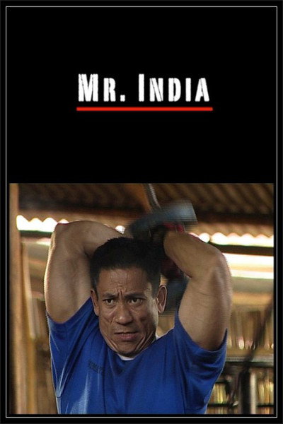 Póster de Mr. India