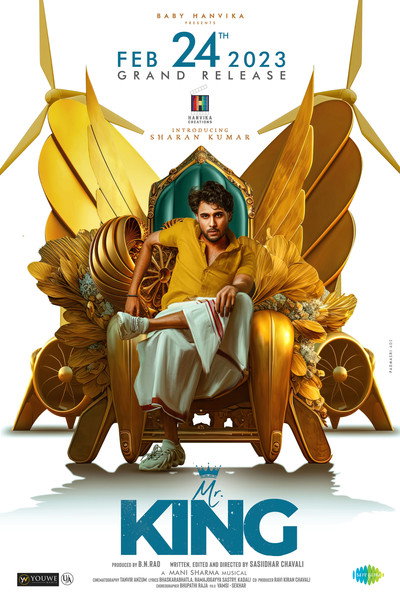Póster de Mr. King