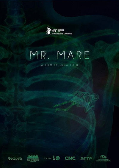Póster de Mr. Mare