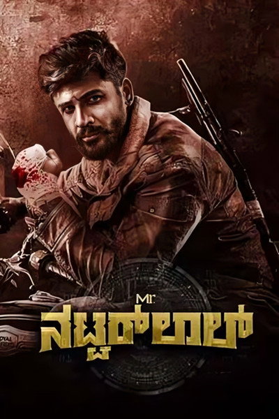 Póster de Mr. Natwarlal