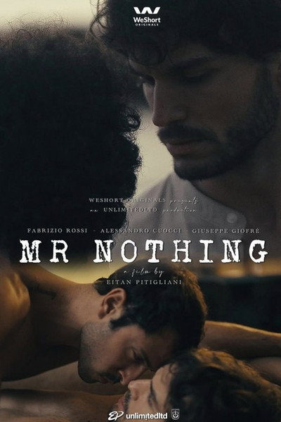Póster de Mr Nothing